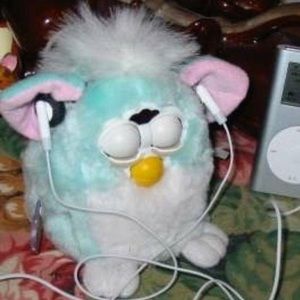 Meet your Posher, Alex